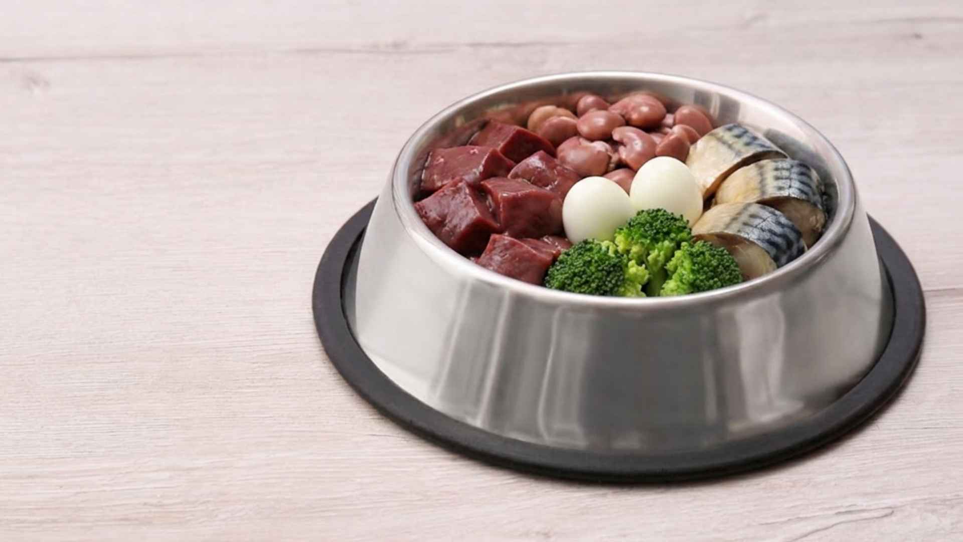 alimentos para perros con anemia